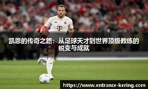 开云app